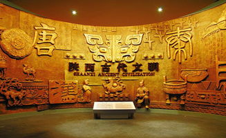 西安兵马俑博物馆探秘，博物馆：探寻历史的尘封之谜