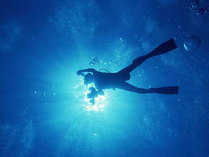 探秘海南国际潜水节，开启海底世界的神秘之门